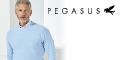 Pegasus Menswear voucher