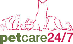 PetCare24/7 Shop promo code